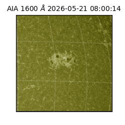 saia - 2026-05-21T08:00:14.130000