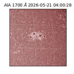 saia - 2026-05-21T04:00:28.720000