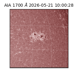 saia - 2026-05-21T10:00:28.720000