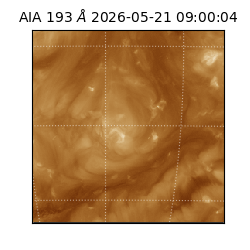 saia - 2026-05-21T09:00:04.842000