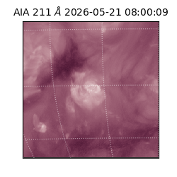 saia - 2026-05-21T08:00:09.622000