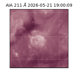 saia - 2026-05-21T19:00:09.624000