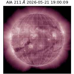 saia - 2026-05-21T19:00:09.624000