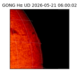 gong - 2026-05-21T06:00:02