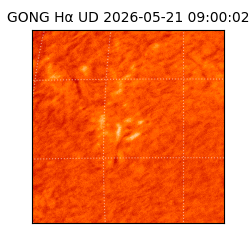 gong - 2026-05-21T09:00:02
