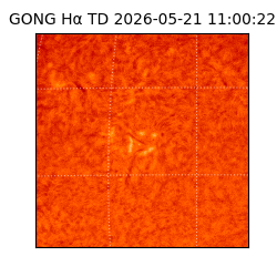 gong - 2026-05-21T11:00:22