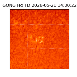 gong - 2026-05-21T14:00:22
