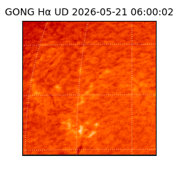 gong - 2026-05-21T06:00:02