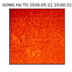 gong - 2026-05-21T10:00:22