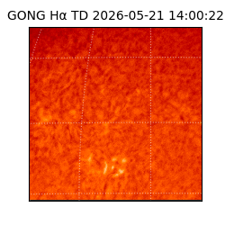 gong - 2026-05-21T14:00:22