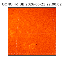 gong - 2026-05-21T22:00:02
