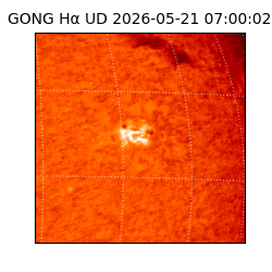 gong - 2026-05-21T07:00:02