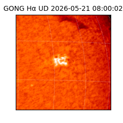 gong - 2026-05-21T08:00:02