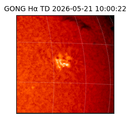gong - 2026-05-21T10:00:22