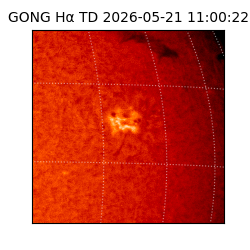 gong - 2026-05-21T11:00:22