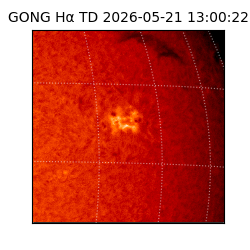 gong - 2026-05-21T13:00:22