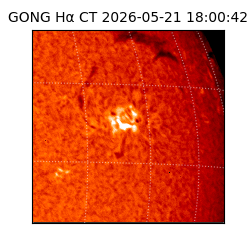 gong - 2026-05-21T18:00:42