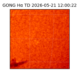 gong - 2026-05-21T12:00:22