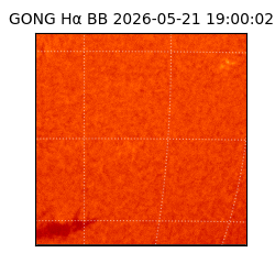 gong - 2026-05-21T19:00:02