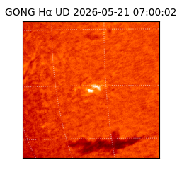 gong - 2026-05-21T07:00:02