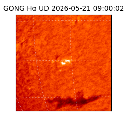 gong - 2026-05-21T09:00:02