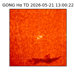 gong - 2026-05-21T13:00:22