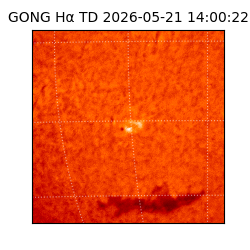 gong - 2026-05-21T14:00:22