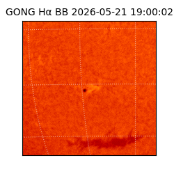 gong - 2026-05-21T19:00:02
