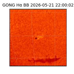 gong - 2026-05-21T22:00:02