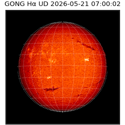 gong - 2026-05-21T07:00:02
