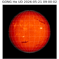 gong - 2026-05-21T09:00:02