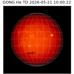 gong - 2026-05-21T10:00:22