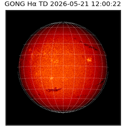 gong - 2026-05-21T12:00:22