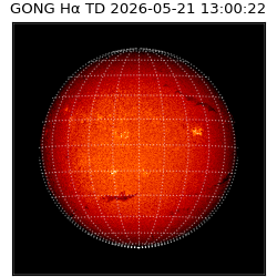 gong - 2026-05-21T13:00:22