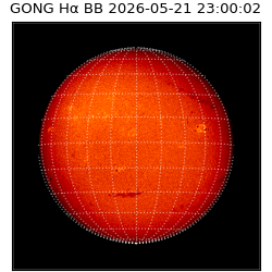 gong - 2026-05-21T23:00:02