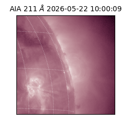 saia - 2026-05-22T10:00:09.623000