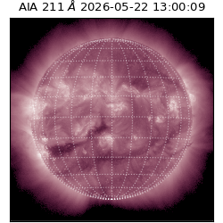 saia - 2026-05-22T13:00:09.621000