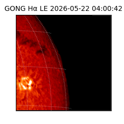 gong - 2026-05-22T04:00:42