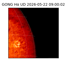 gong - 2026-05-22T09:00:02