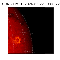 gong - 2026-05-22T13:00:22