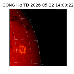 gong - 2026-05-22T14:00:22