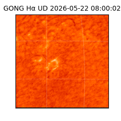 gong - 2026-05-22T08:00:02