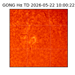gong - 2026-05-22T10:00:22