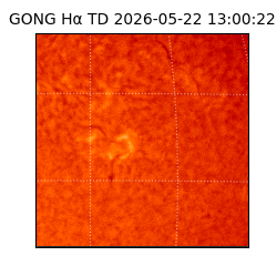 gong - 2026-05-22T13:00:22