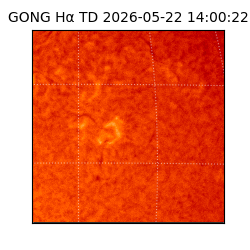 gong - 2026-05-22T14:00:22