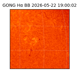 gong - 2026-05-22T19:00:02