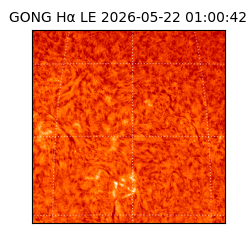 gong - 2026-05-22T01:00:42