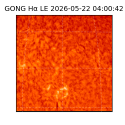 gong - 2026-05-22T04:00:42