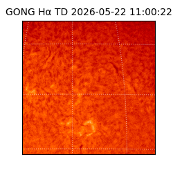 gong - 2026-05-22T11:00:22