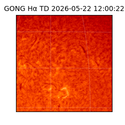 gong - 2026-05-22T12:00:22